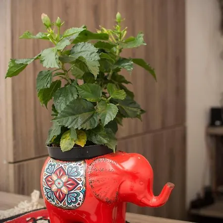 Beo View Appartement *